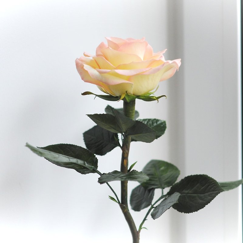 手作りのバラの花。花瓶用の一輪のバラ。リアルタッチローズ。玫瑰花 - 置物 - その他の素材 ピンク