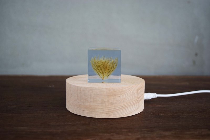夢天涯 毛筆花冰磚 (4cm) - 擺飾/家飾品 - 樹脂 白色