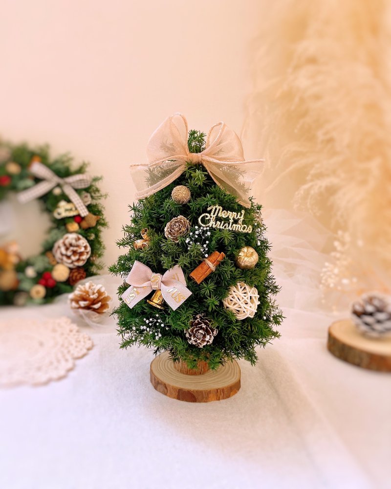 [Eternal Cedar Christmas Tree-Small] Comes with a gift box and 2 types of ribbons to choose from Christmas tree Christmas - ช่อดอกไม้แห้ง - พืช/ดอกไม้ สีเขียว