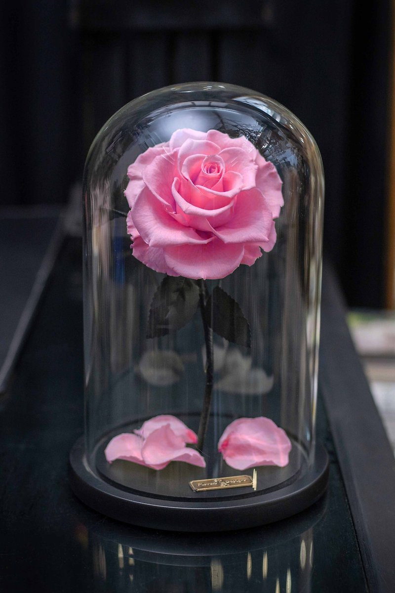 Valentine's Day Flower Gift/Beauty and the Beast Immortal Flower Deep Pink L - ช่อดอกไม้แห้ง - พืช/ดอกไม้ สึชมพู