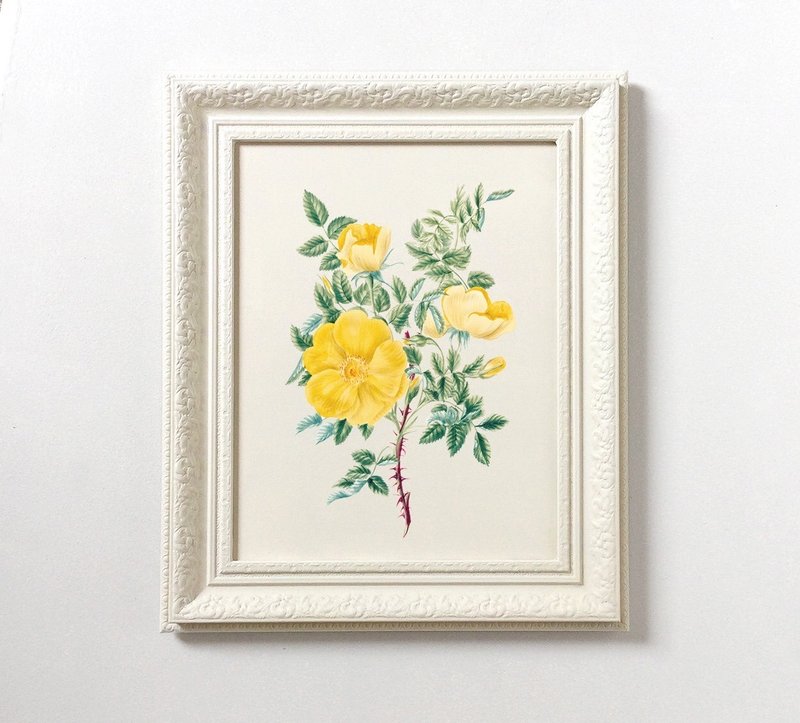 **Classic Blooms** Collection Perfect for living rooms, bedrooms, and offices. - 壁貼/牆壁裝飾 - 木頭 黃色
