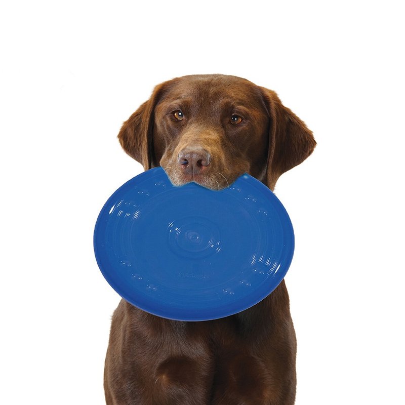 オカナイバイトフリスビー（大）ペット用おもちゃ - おもちゃ - その他の素材 