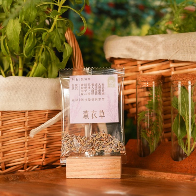 [New Product from Small Garden] Lavender Herbal Tea - ชา - วัสดุอื่นๆ สีม่วง