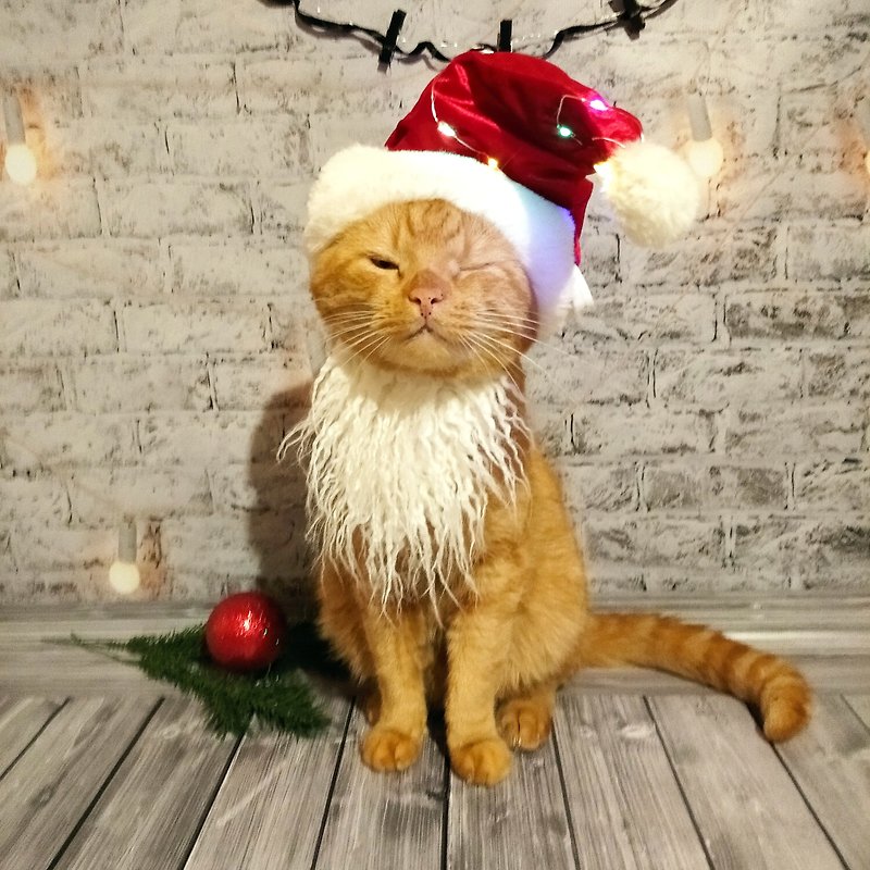 Glow Red Santa Hat for Cat with Beard | Christmas Pets | Christmas Photo Prop - 寵物衣服 - 其他材質 紅色