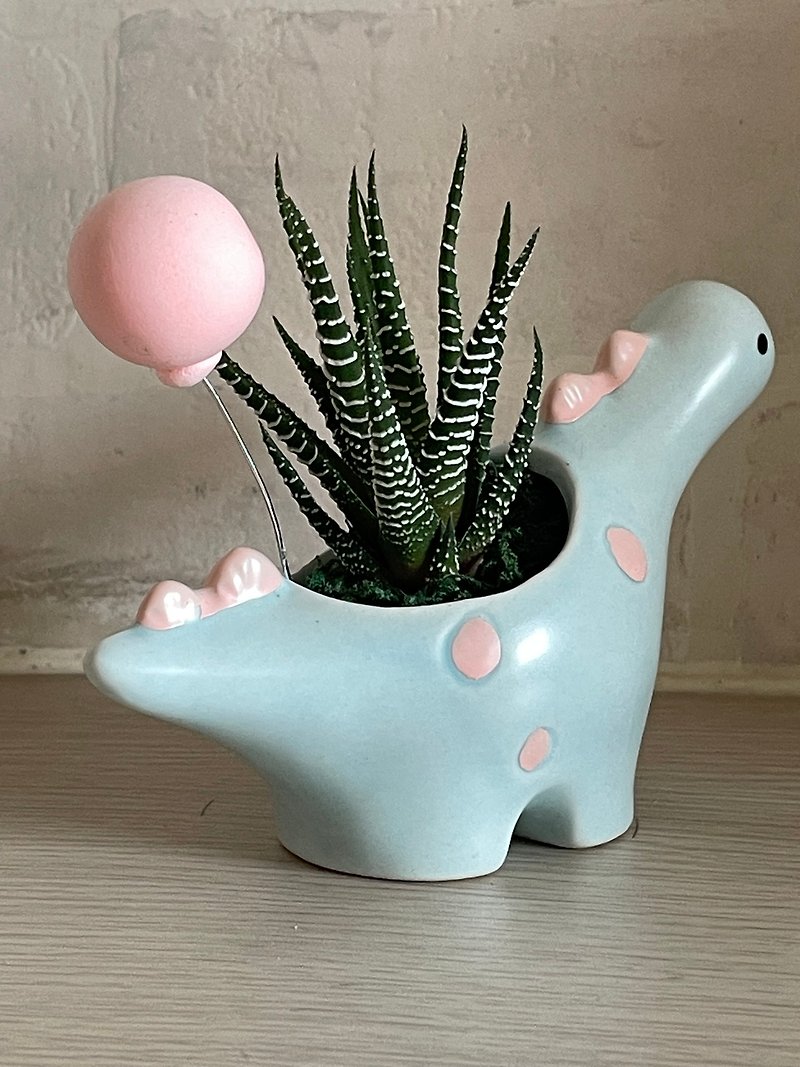[Little Blue Dragon] JASON/succulent/cactus/customization/gift/planting - Plants - Plants & Flowers 