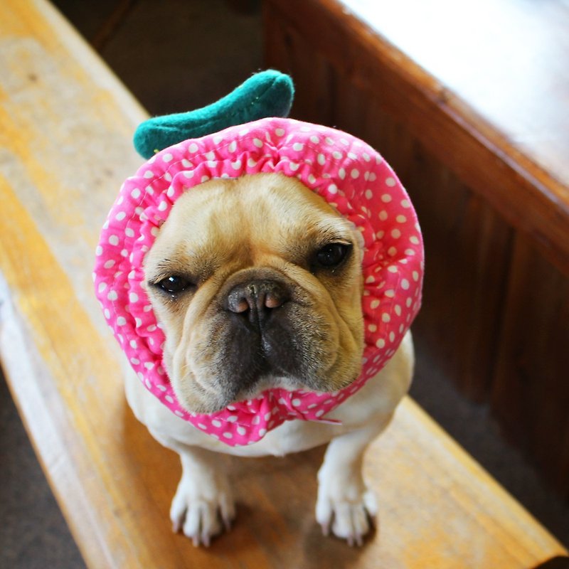 冷やし犬ヅラ　ピンク　キュウリ - 寵物衣服 - 羊毛 粉紅色