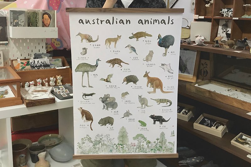 Yuji Paper Products/ Australian Animals Series/ Poster - โปสเตอร์ - กระดาษ 