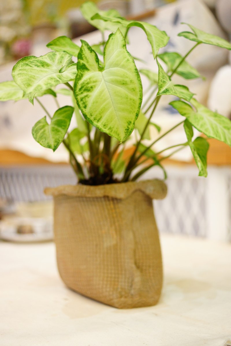手びねり多肉植物鉢 W10cm 麻模様広口陶器鉢 多肉植物 観葉植物 植木鉢 花器 - 花瓶・植木鉢 - 陶器 カーキ