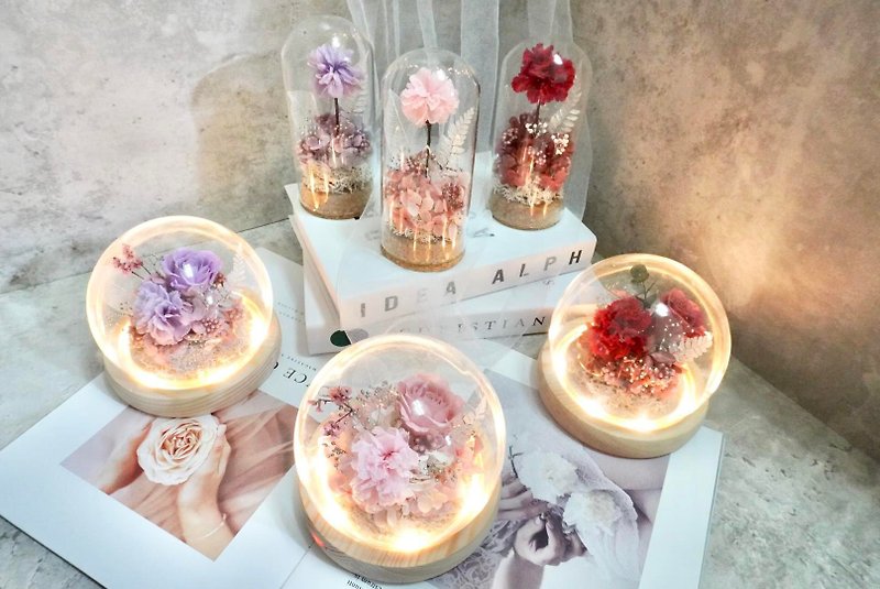 Preserved flower carnation night light bell jar Mother's Day, birthday, anniversary flower gift, home decoration - Dried Flowers & Bouquets - Glass Red