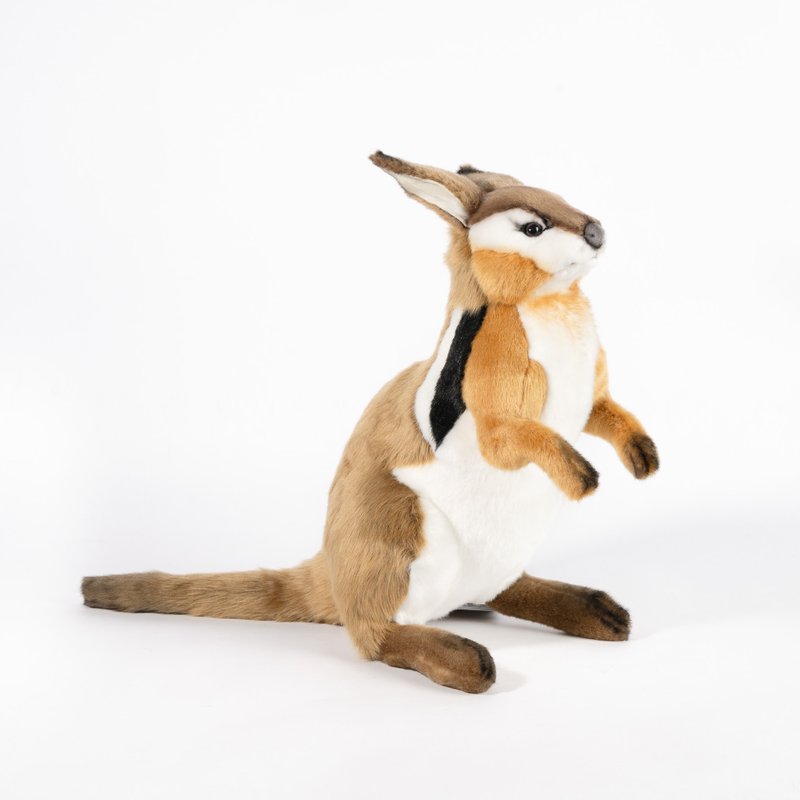 Hansa 5172-新月甲尾袋鼠 36公分 - 公仔模型 - 環保材質 卡其色