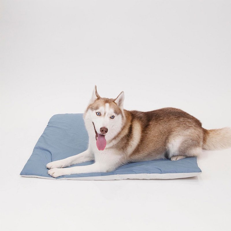 [Mid-year celebration 40% off for 2 pieces] Pet mat/pet blanket | Soft and comfortable - Korean remetome - ที่นอนสัตว์ - ผ้าฝ้าย/ผ้าลินิน สีน้ำเงิน