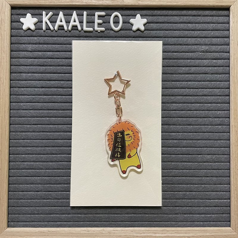 วัสดุอื่นๆ ที่ห้อยกุญแจ หลากหลายสี - KaaLeo-key ring key chain lion life value hard connection