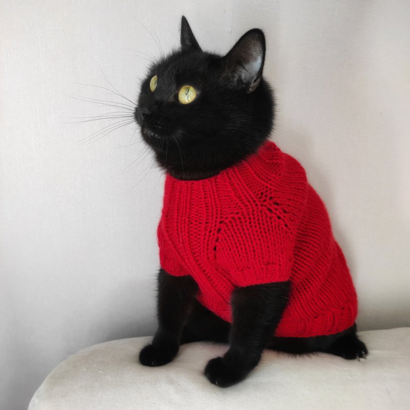 Basic cat sweater Pets jumper Hand knitted cat sweater - 寵物衣服 - 羊毛 