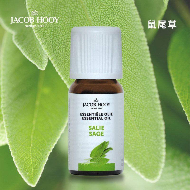 Jacob Hooy | Sage Essential Oil 100% Pure Essential Oil Diffuser Oxygen Aromatherapy - Fragrances - Essential Oils 