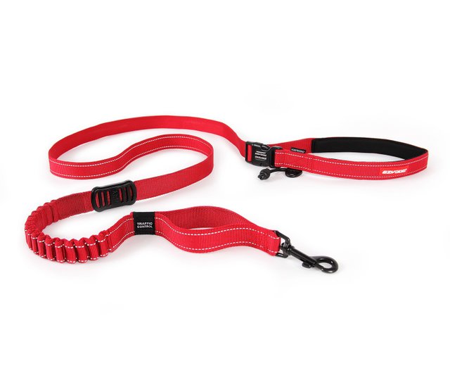 roadrunner running dog leash