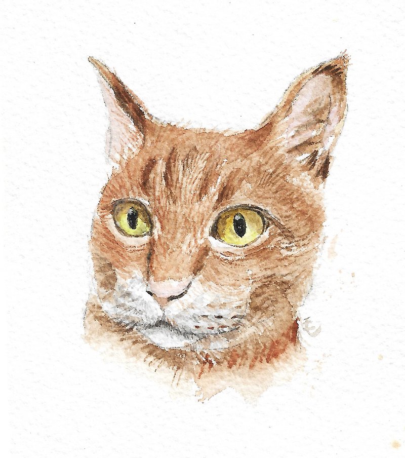 Orange Cat Watercolor Painting - โปสเตอร์ - กระดาษ สีเขียว
