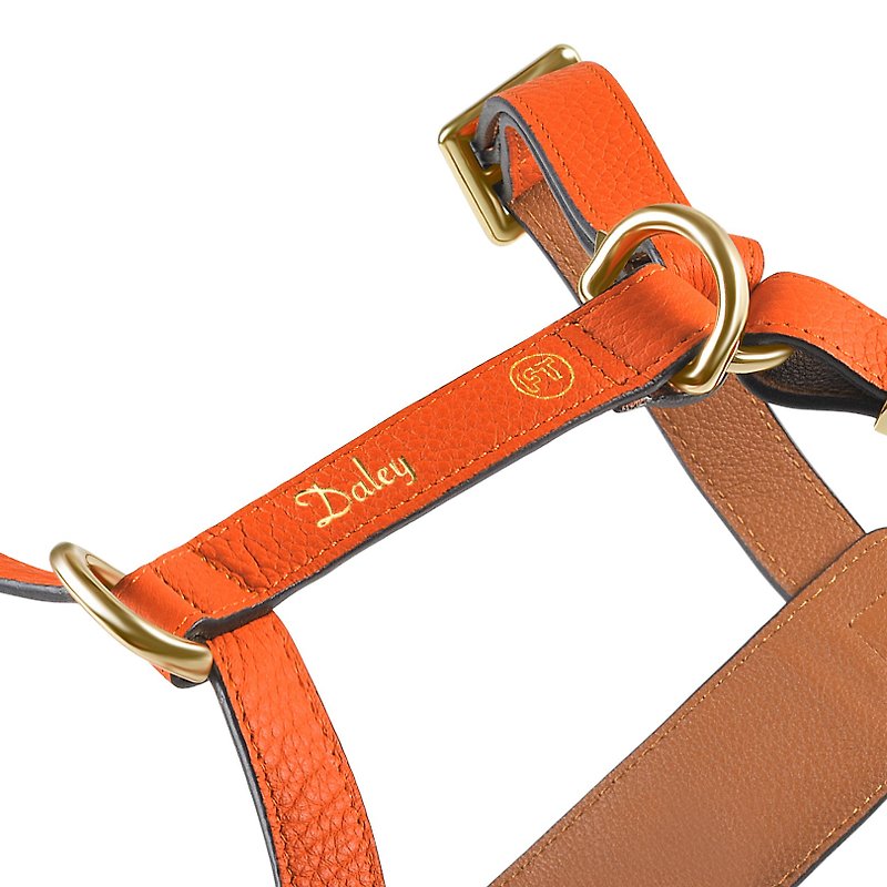 Customized hot stamping leather dog harness - Collars & Leashes - Genuine Leather Multicolor