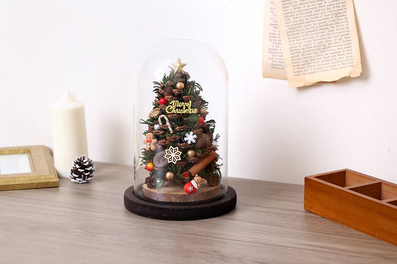 松果聖誕樹 玻璃罩 禮盒套裝【聖誕禮盒】 - 乾花/永生花 - 植物．花 綠色