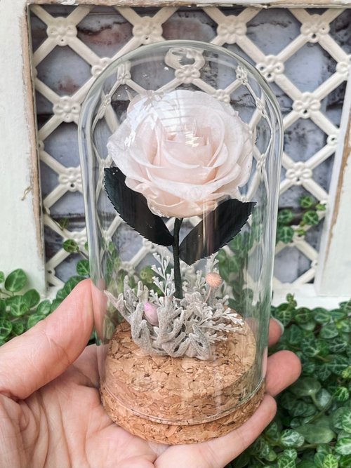 星の王子さまのバラ スペシャルユー 永遠の花 ガラスカップ