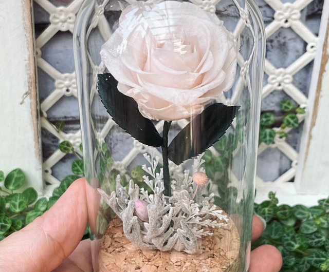 星の王子さまのバラ スペシャルユー 永遠の花 ガラスカップ