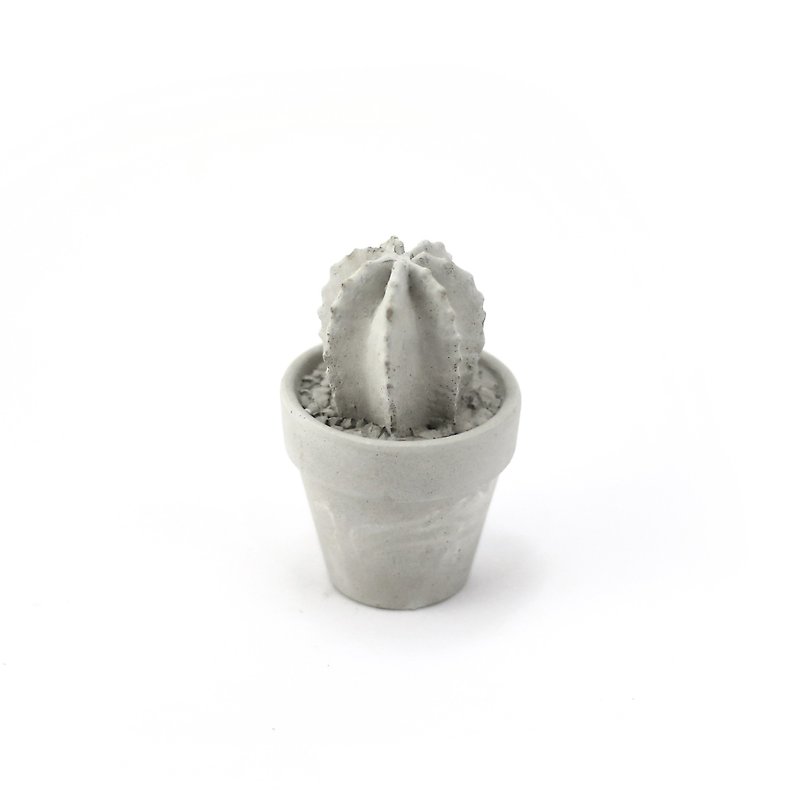 Cement Succulent Decoration - free pouring Cement meaty pot - Cactus - ของวางตกแต่ง - ปูน สีเทา