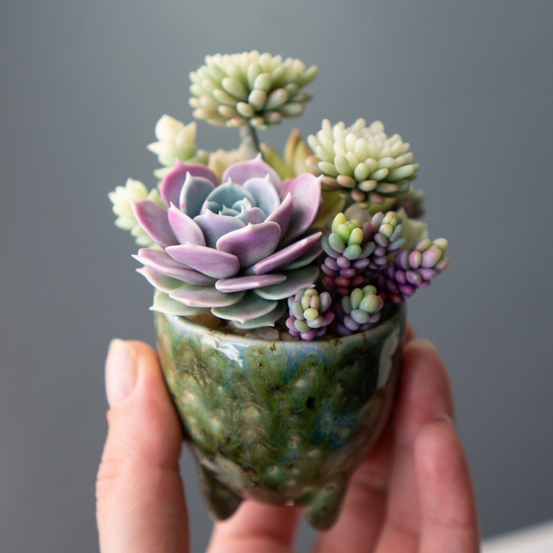 Tiny jewelry box with Echeveria Lola - 居家收納/收納盒/儲物盒 - 其他材質 