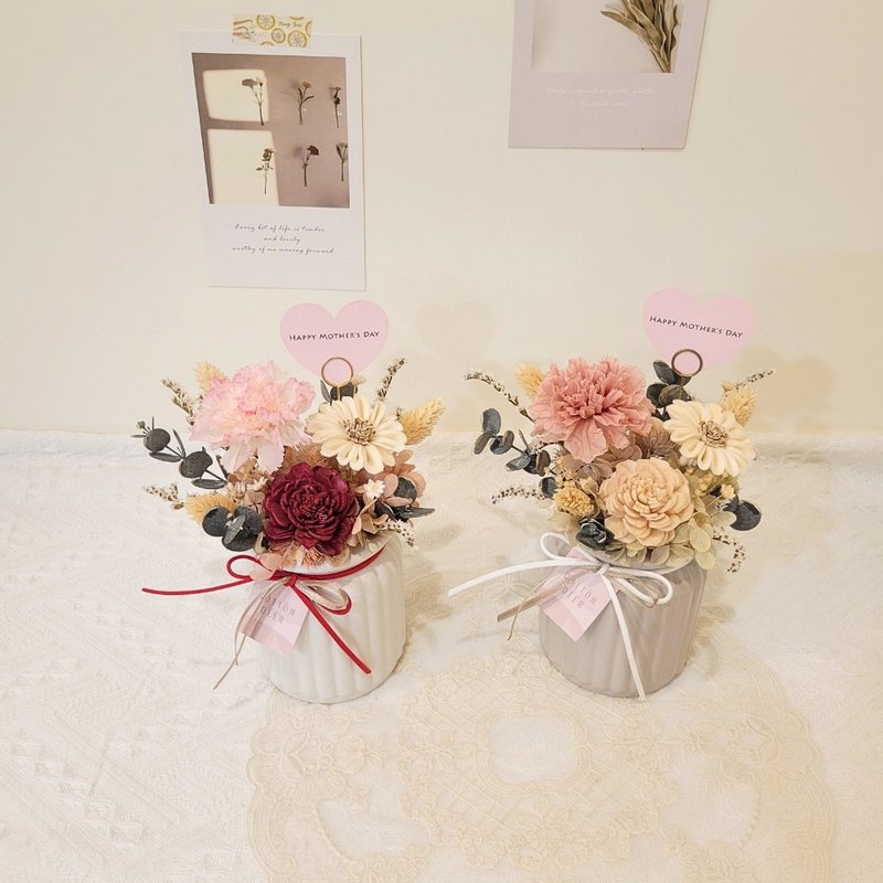 永生康乃馨桌花。盆花。擺飾。附包裝。母親節花禮 - 乾燥花/永生花 - 植物．花 