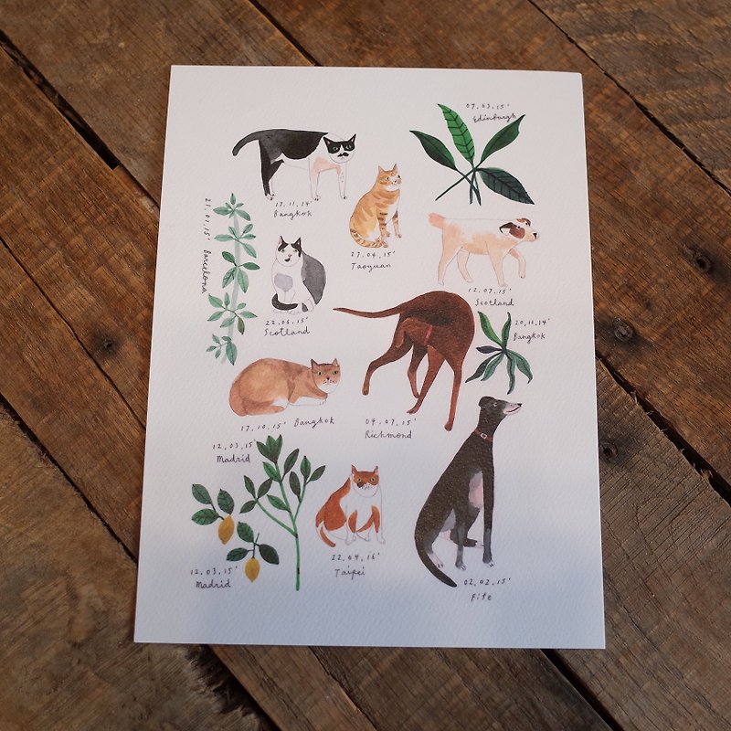 貓、狗紀錄Print (此頁面僅販售貓、狗單張) - 卡片/明信片 - 紙 