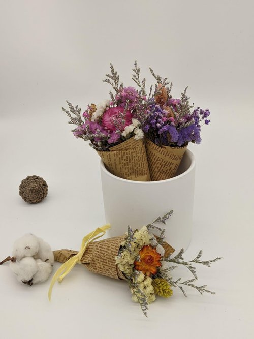 Cocoa pine cones immortalized small bouquet - Shop 36.5c-flower Dried  Flowers & Bouquets - Pinkoi