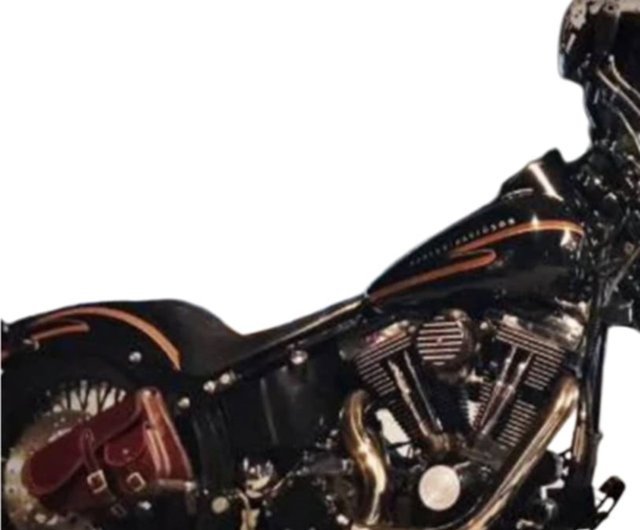 side bag harley