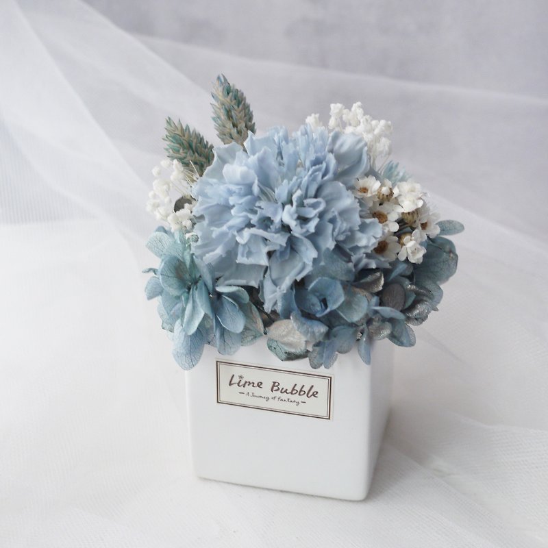 Carnation eternal flower small square pot-blue - ช่อดอกไม้แห้ง - พืช/ดอกไม้ สีน้ำเงิน
