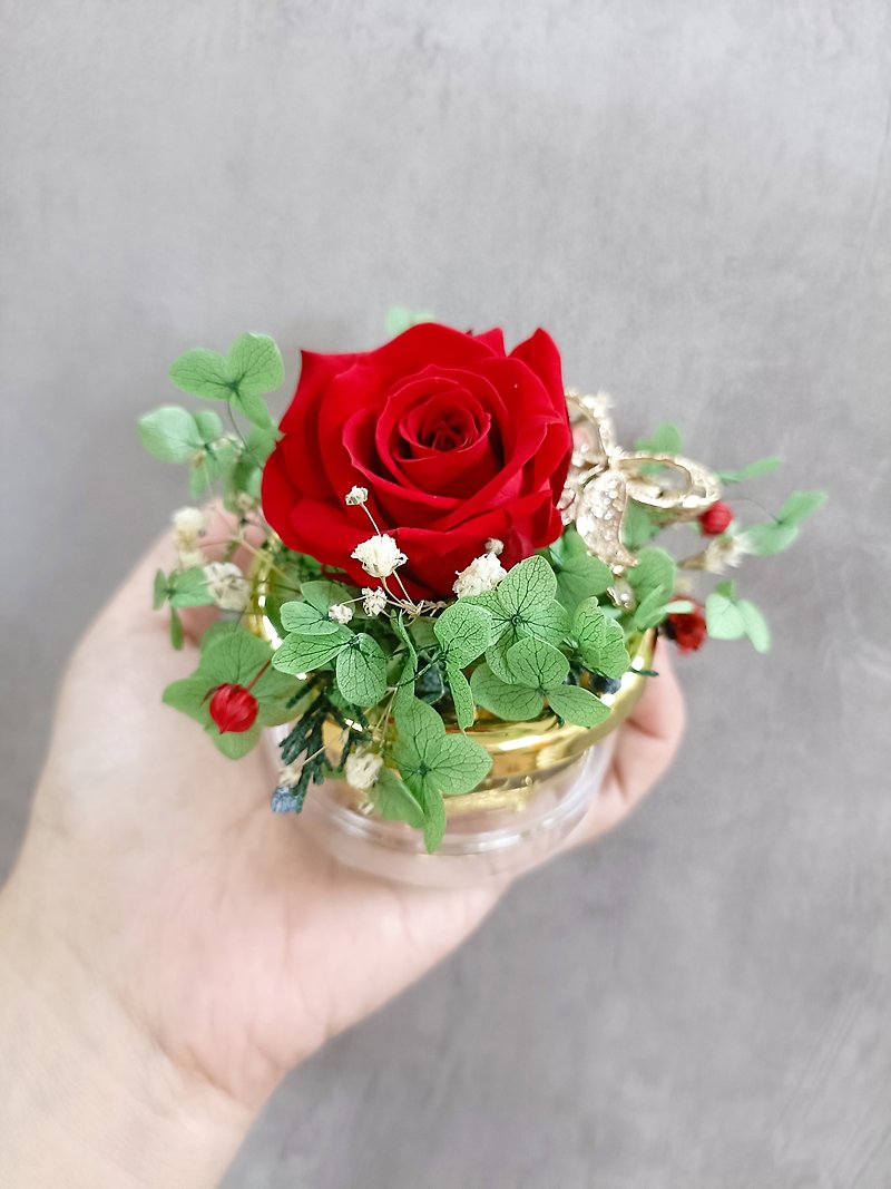 永生玫瑰花園音樂盒材料包 - 盆栽/花藝 - 植物．花 紅色