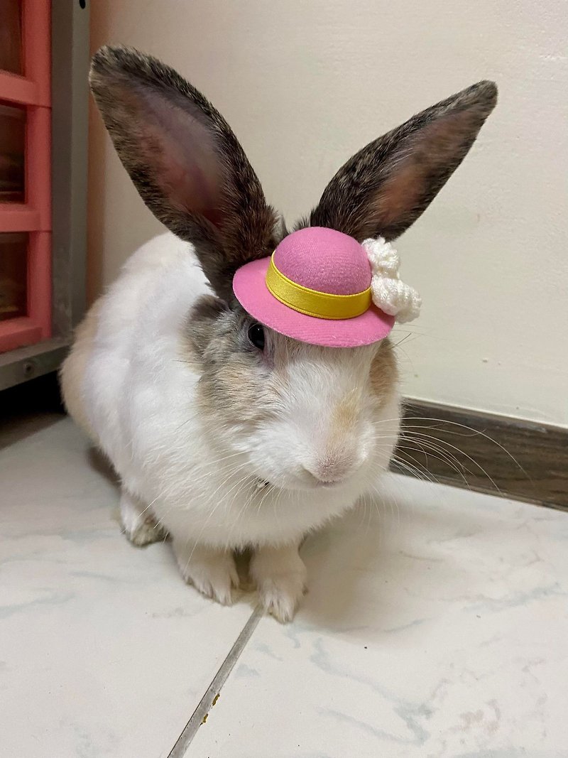 Q2-handmade pet birthday hat pet hair accessories headgear bunny leash accessories bunny-European top hat - Collars & Leashes - Other Materials Multicolor