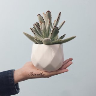 cottontatt Breathe 手寫書法 紋身貼紙
