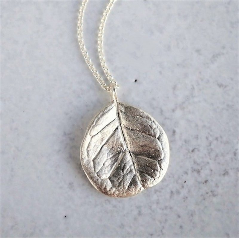 Feijoa leaf necklace (round) {P074SV} - Necklaces - Other Metals 
