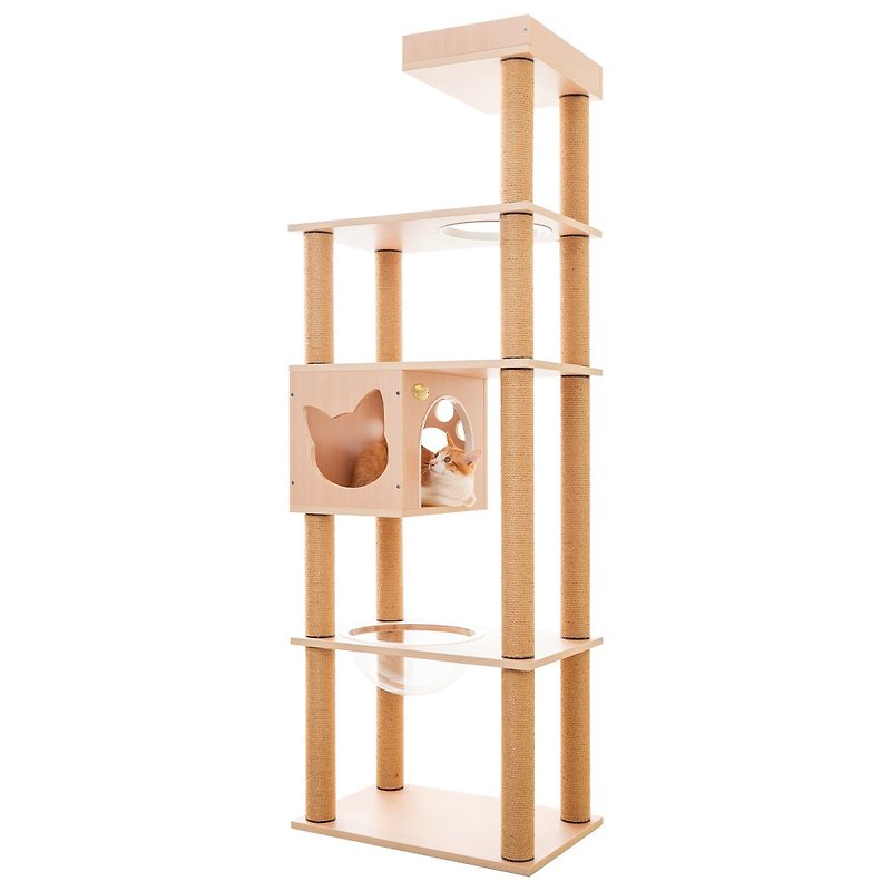 【MOMOCAT】A681 Heightened Space Shuttle Cat Jumping Platform - Three Wood Colors - อุปกรณ์แมว - ไม้ 