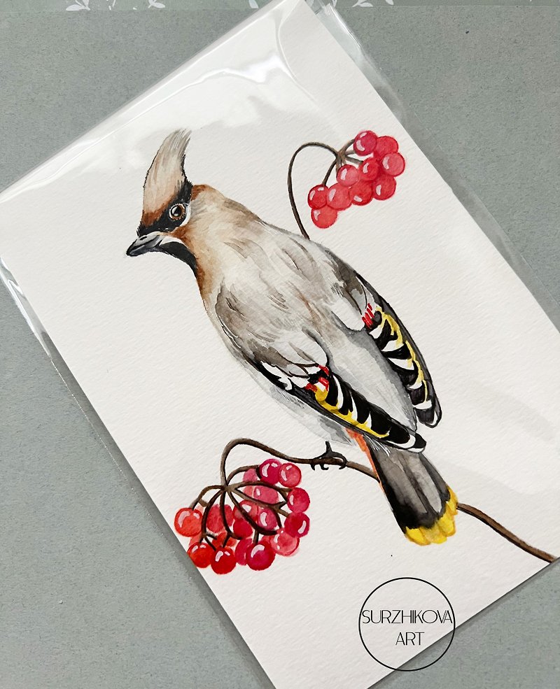 Original watercolor painting depicting a Waxwing bird on a branch, 5x7 inches - Wall Décor - Paper 