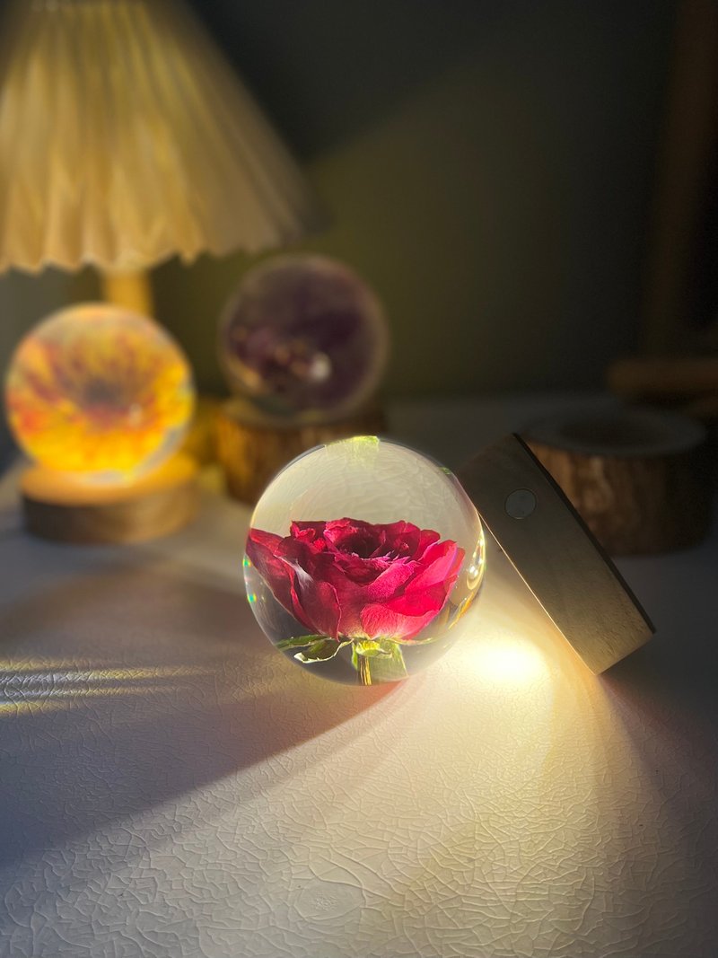 玫瑰花樹脂標本禮物 - 擺飾/家飾品 - 樹脂 紅色