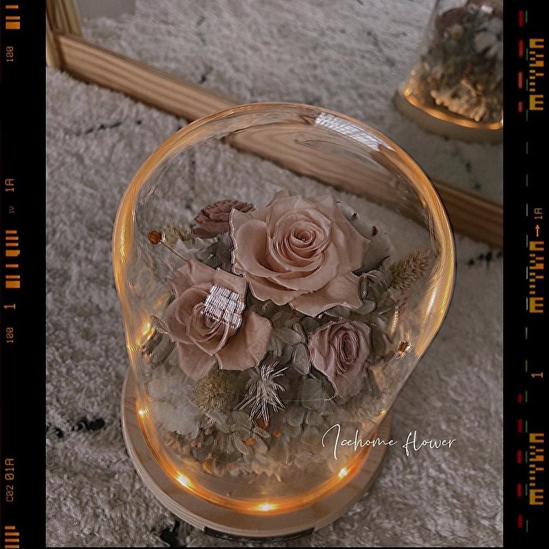 Night light immortal glass bell flower glass cover large immortal flower birthday gift Valentine's day gift - Dried Flowers & Bouquets - Plants & Flowers Orange