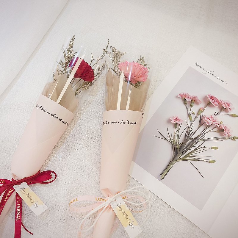 Fragrance Sola Carnation Single Bouquet/Mother's Day Bouquet/Preserved Flowers/Dried Bouquet/Flower Bouquet - ช่อดอกไม้แห้ง - พืช/ดอกไม้ สึชมพู