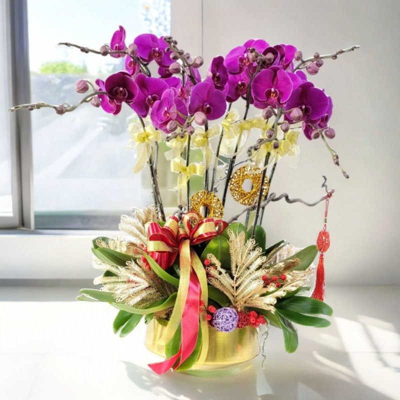 格蘭花店 - 大辣椒蝴蝶蘭10棵配喜慶掛飾 (GF00310) - 盆栽/植栽 - 植物．花 
