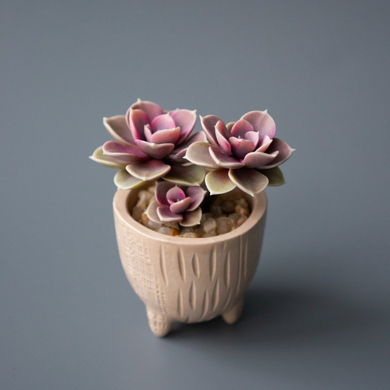 Tiny jewelry box with pink Echeveria PVN - 居家收納/收納盒/儲物盒 - 其他材質 