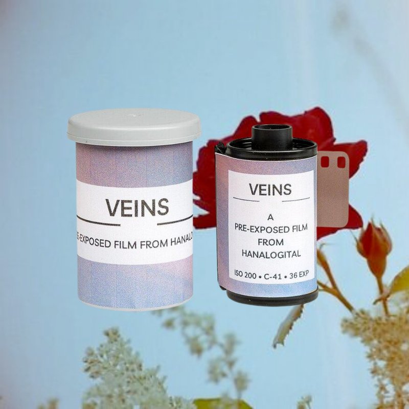 【Hanalogital】VEINS 200度 36張 彩色負片菲林 | 特效菲林 - 相機/拍立得/底片相機 - 其他材質 