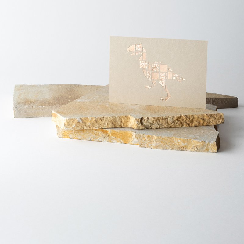 ガストルニス | ピンクゴールド箔のカードセット | Birds Are Dinosaurs - 卡片/明信片 - 紙 金色