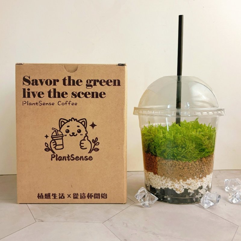 綠色拿鐵 | 給生活一點森呼吸 植物 苔蘚 植栽 綠植 擺飾 - 盆栽/植栽 - 其他材質 綠色