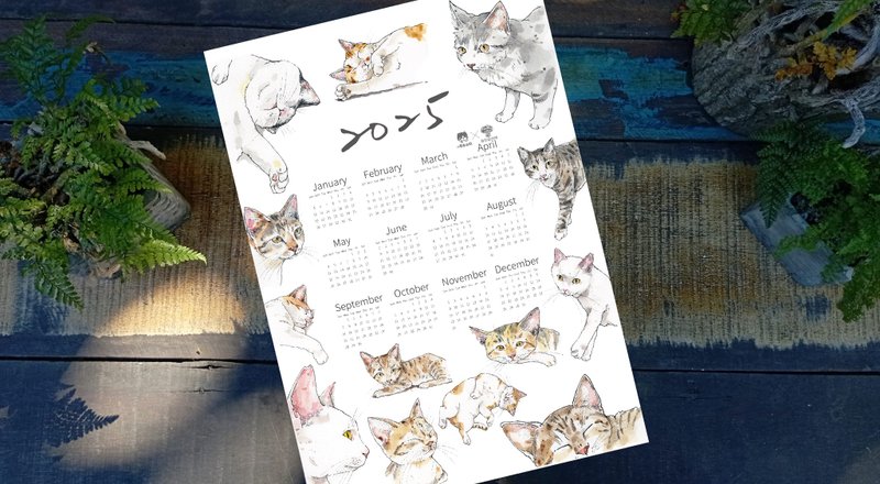 2025 Orchid Island Cat Calendar - ปฏิทิน - กระดาษ 