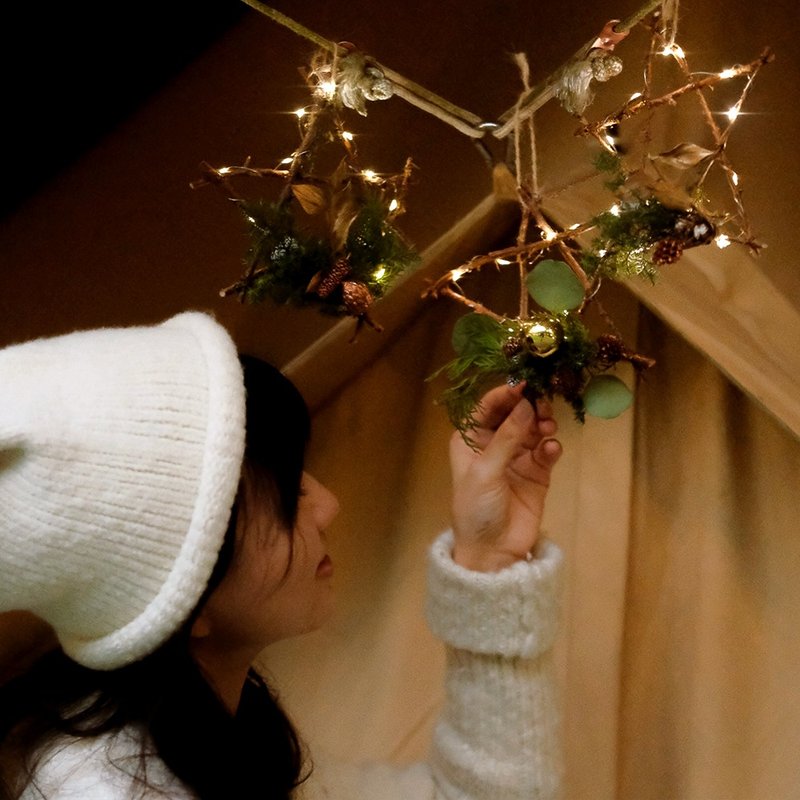 2026 - かわいいクリスマススター - 世界に一つだけの手作り、スターオーナメント、スターライト - 置物 - 寄せ植え・花 グリーン