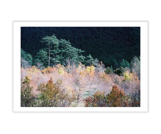 Fine Art Postcards | Joz art and nature