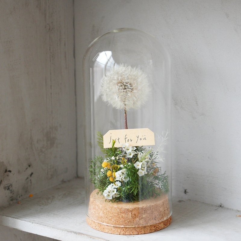 [DIY material package] a glass seat of immortal dandelion / with simple instruction manual electronic file - Plants & Floral Arrangement - Plants & Flowers 