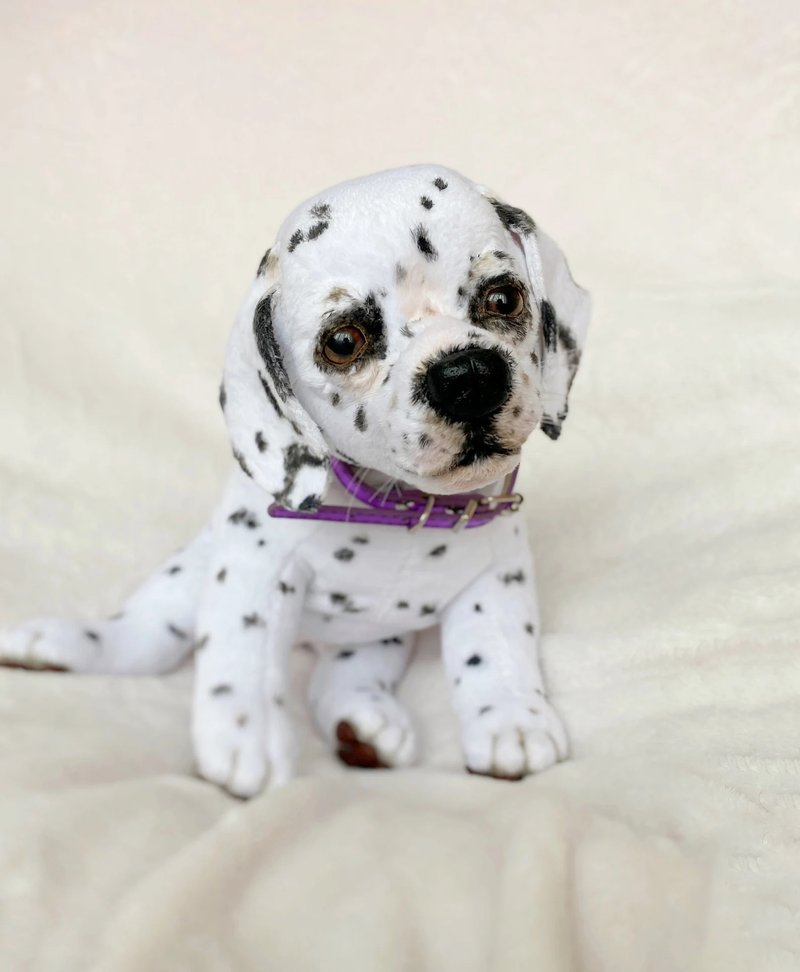 Dalmatians puppy realistic toy - ตุ๊กตา - เส้นใยสังเคราะห์ ขาว